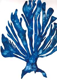 Blues sea coral