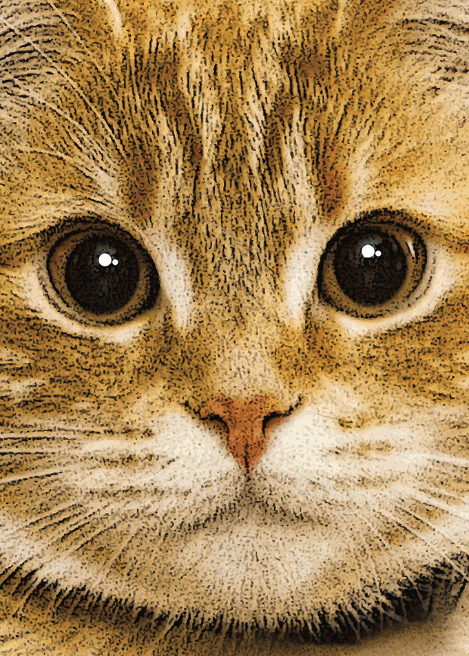 Cat Lover 1