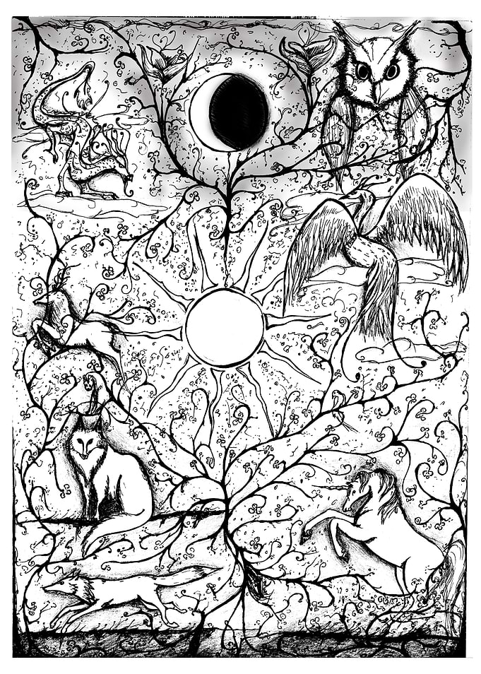 The Woods