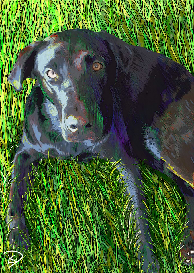Black Lab Dog Painting
