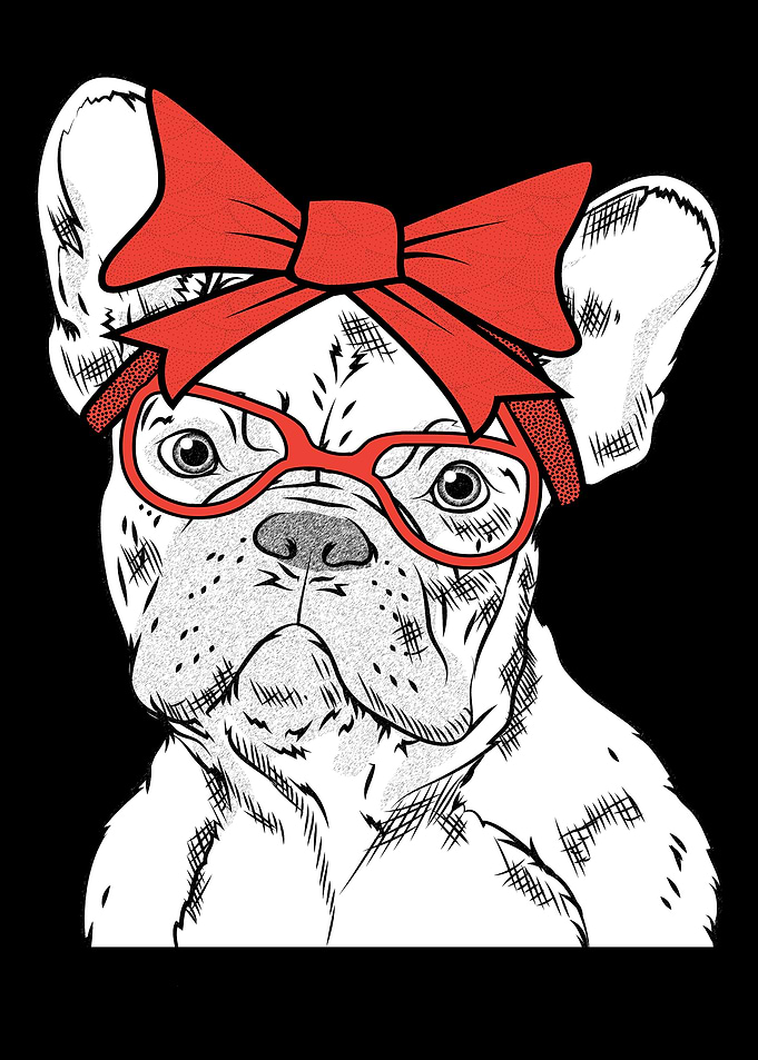 Frenchie French Bulldog