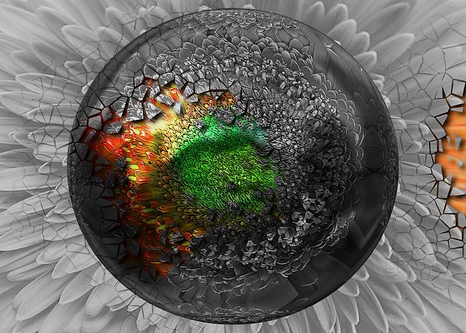 Floral color splash