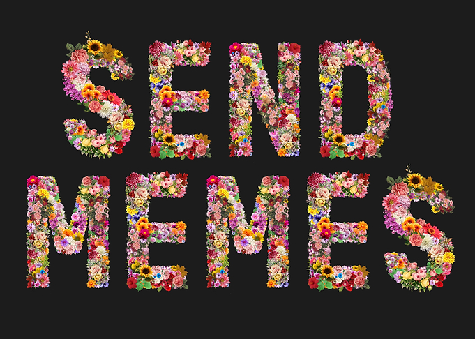 SEND MEMES