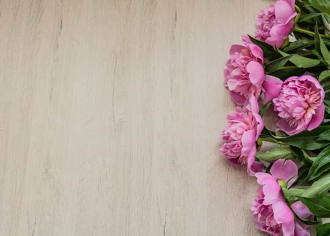 Peonies flowers