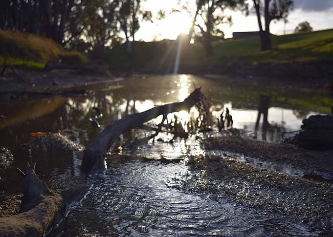 Winter in the creek bed