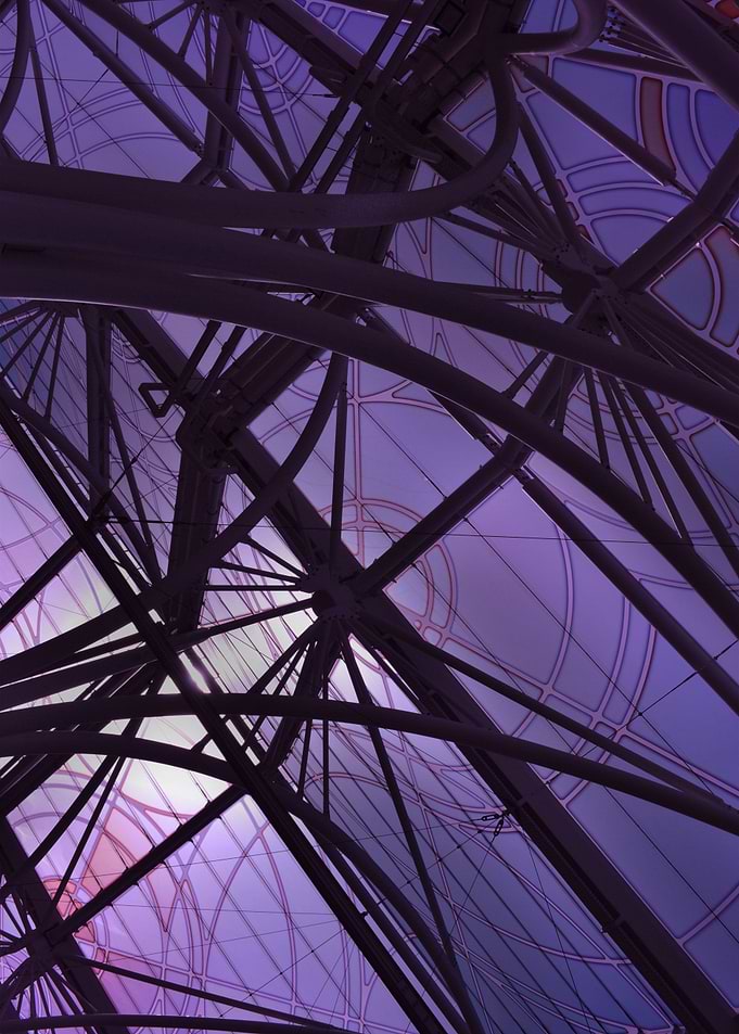 Violet Dreams