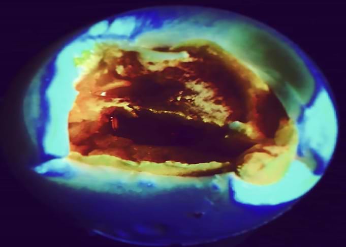 Worldegg