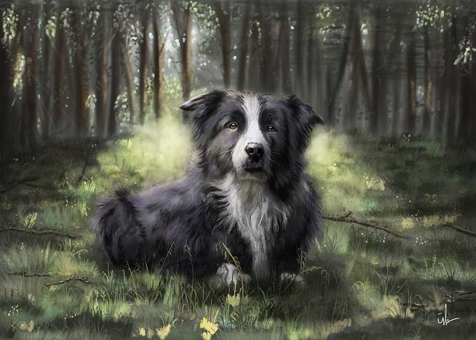 Chilling in the forest