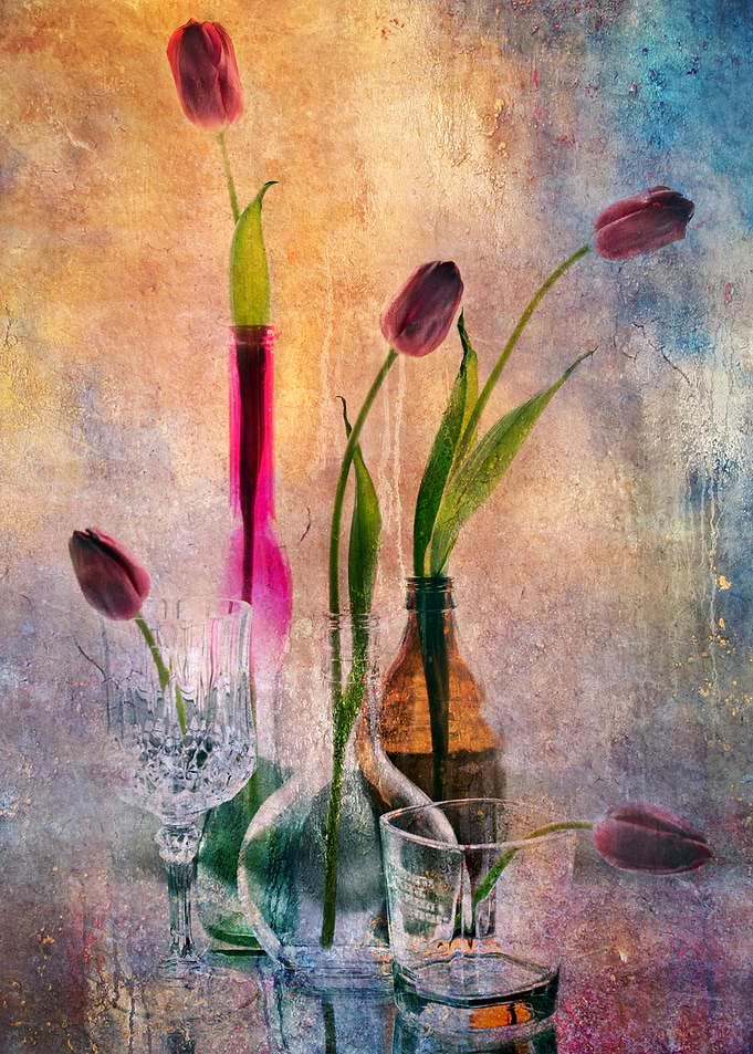 Bouquet of tulips