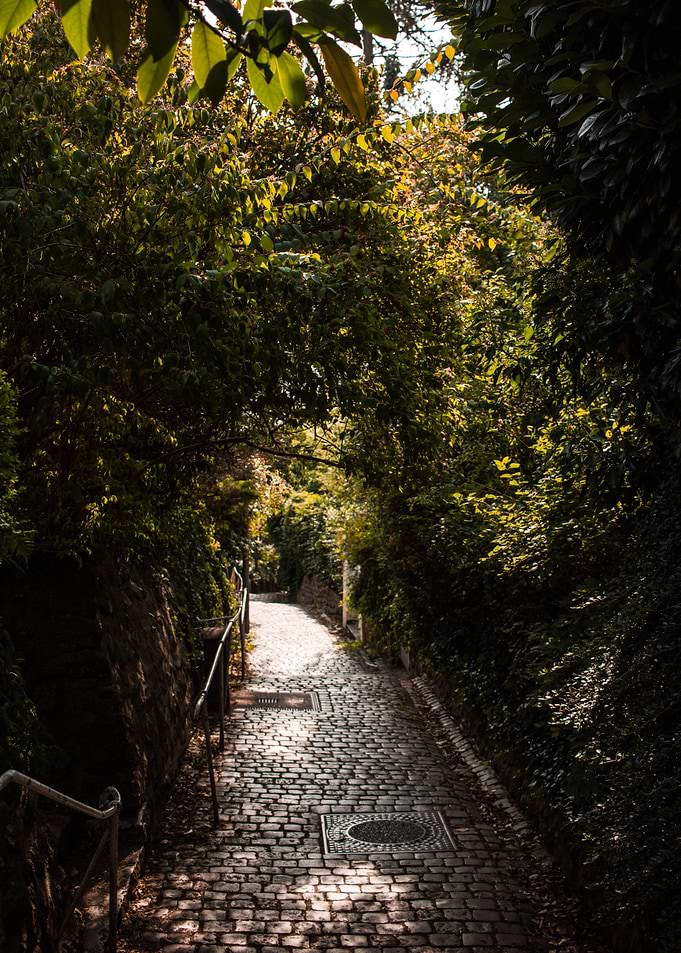 Cosy sideroad