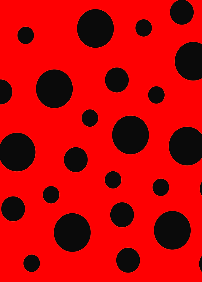 Ladybug