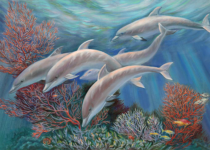 Happy Family Dolphins