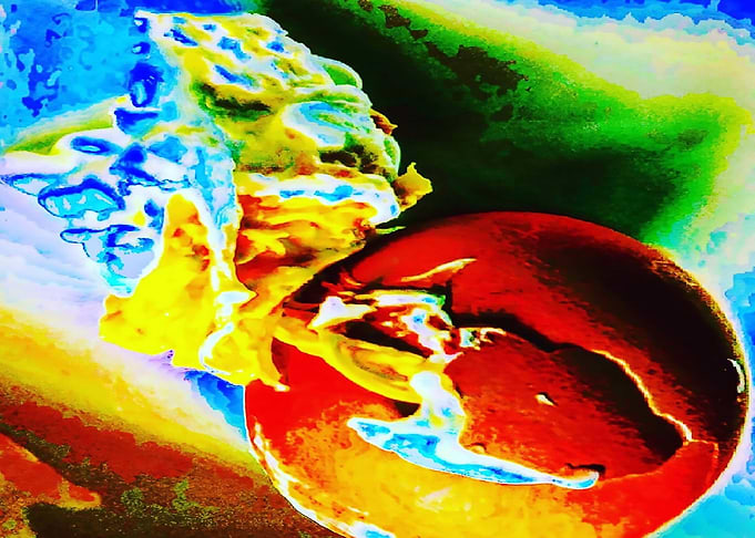 Egg 333