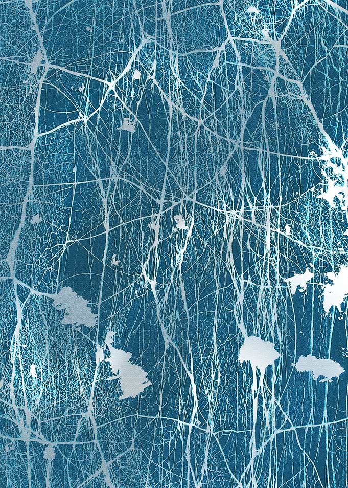 The Web