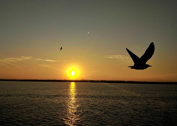 Sun Set