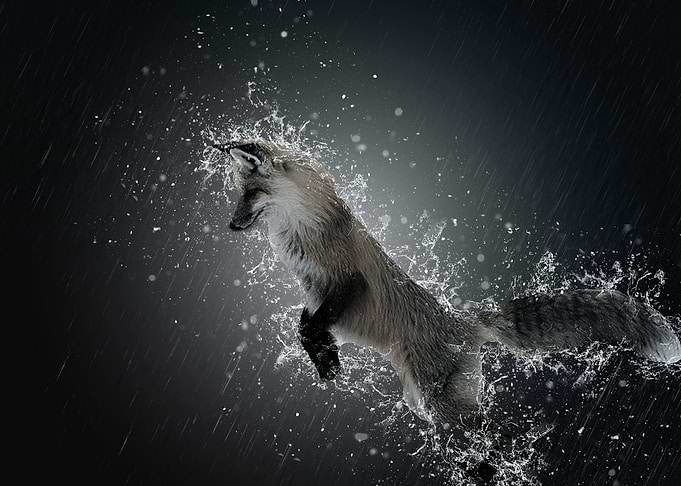 Le saut