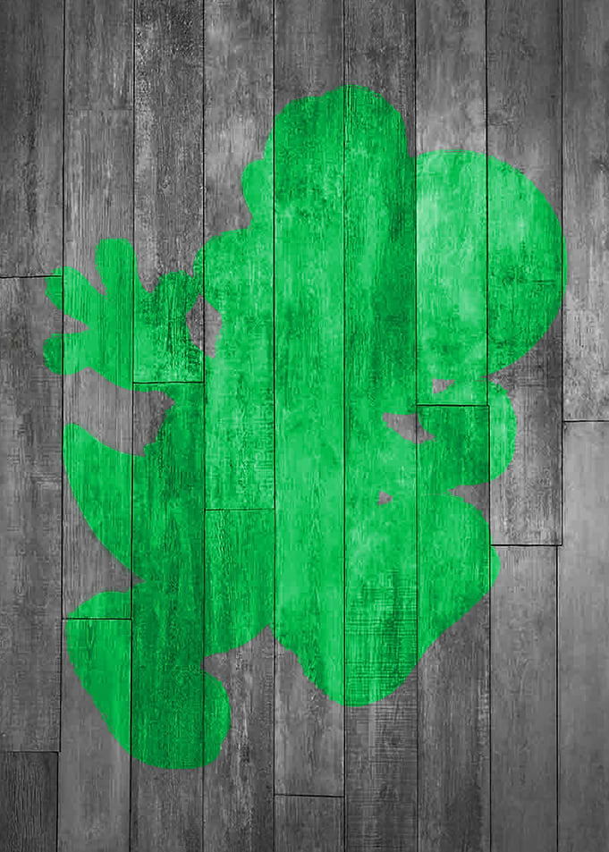 Yoshi Silhouette