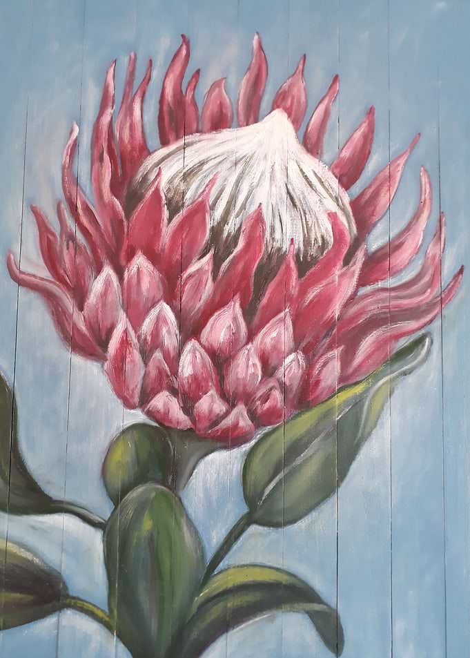 King Protea