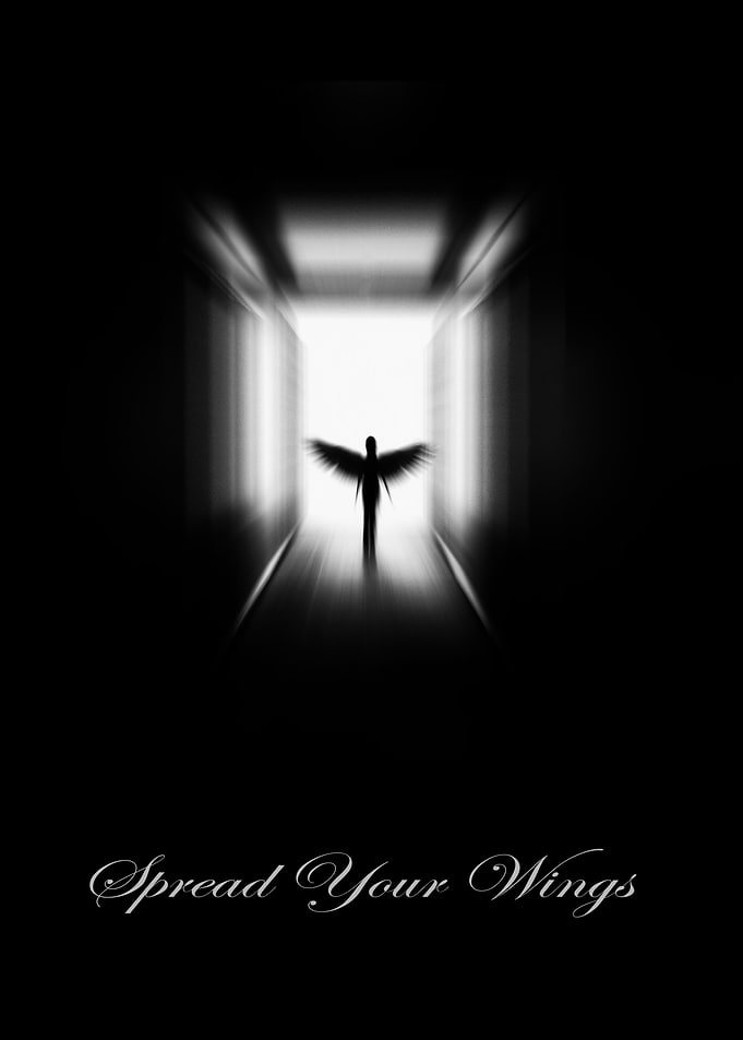 Spread your wings