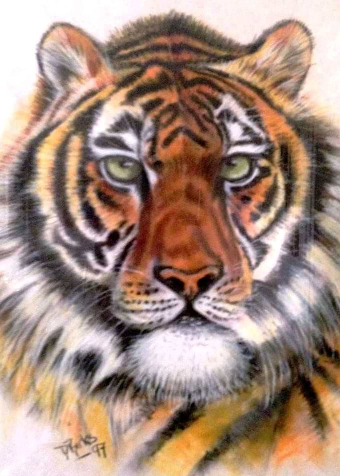 Tiger Stripes
