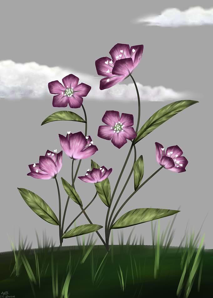 ES Flora Willow Anther