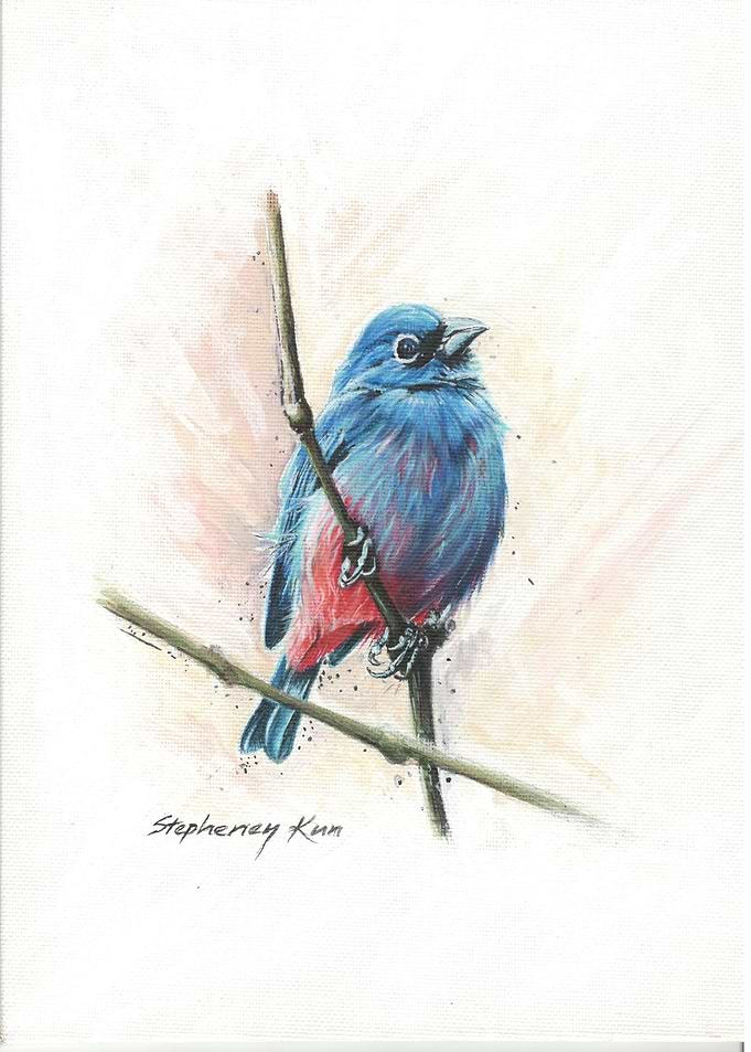 A Bunting we will go