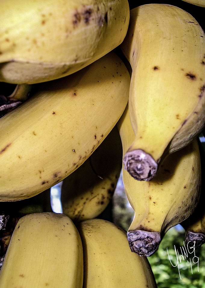 Yes We Have No Bananas