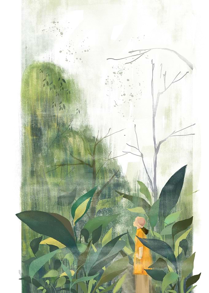 The forest