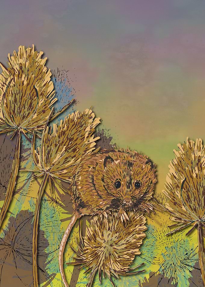 Harvest Mouse and Teasels