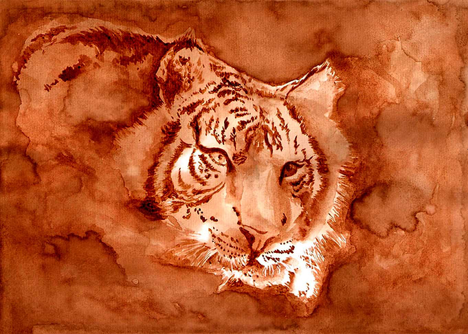 tiger