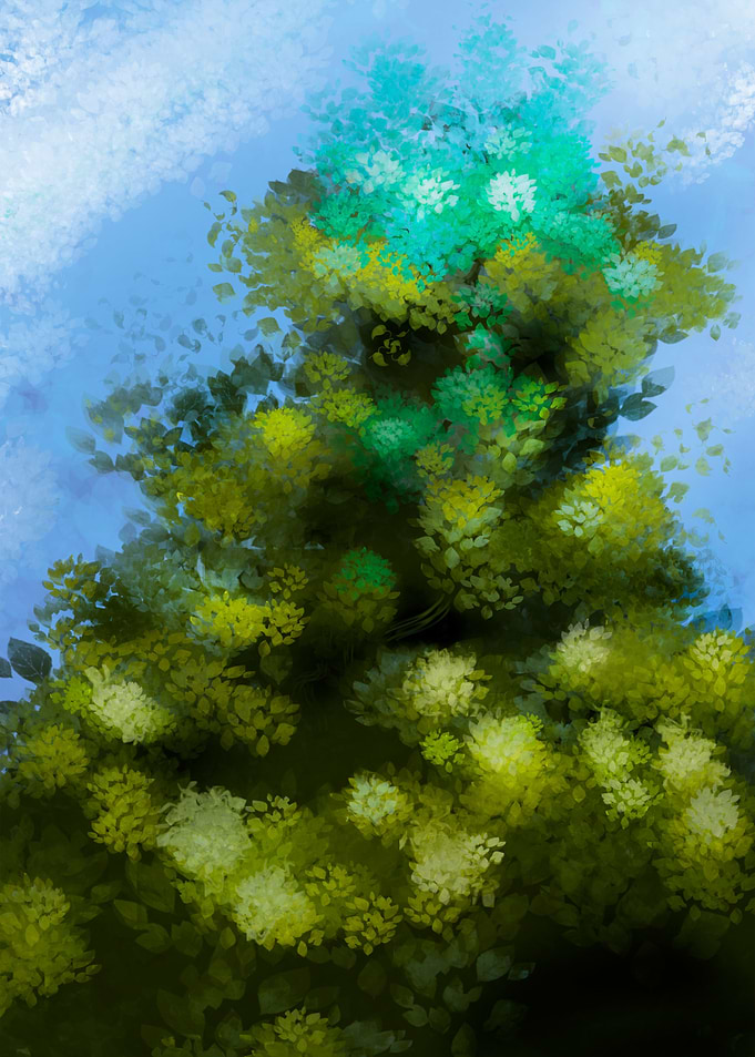 Top of the tree