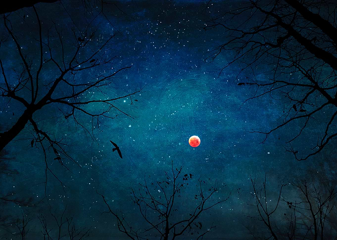 Blood Moon Through Trees