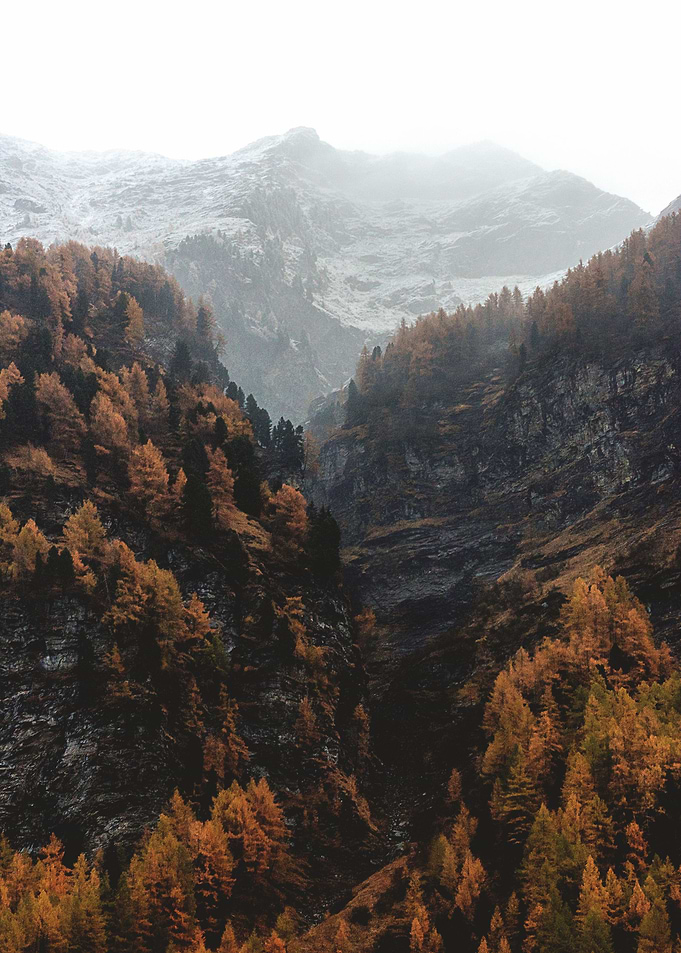 Mountain and trees
