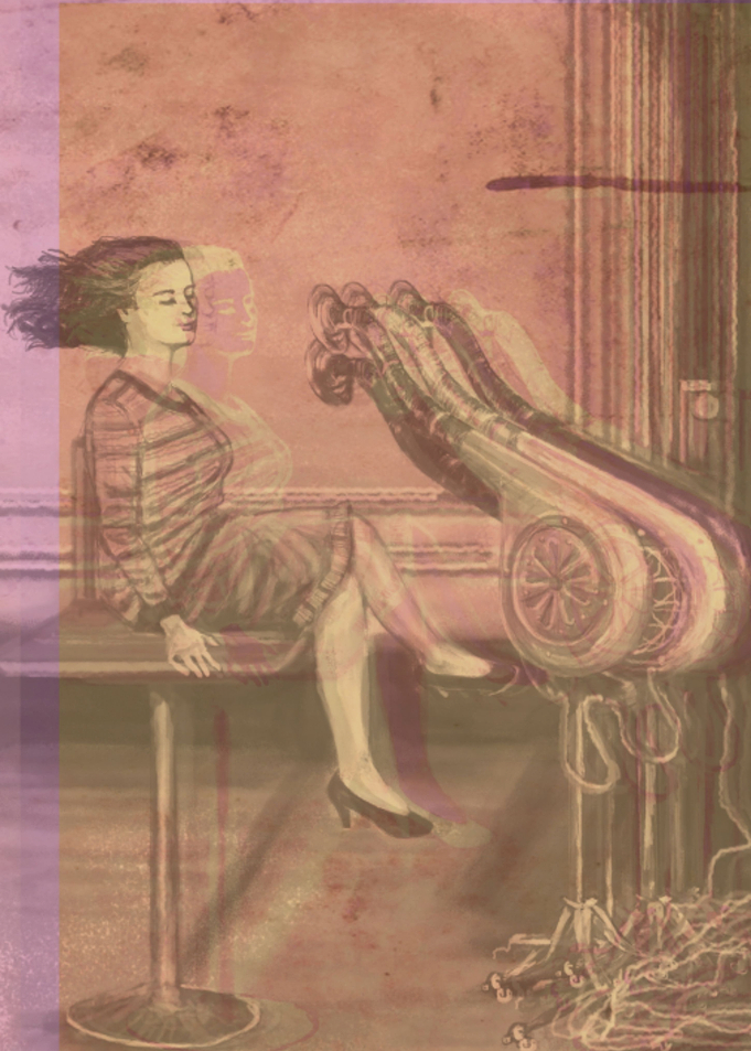 First hair dryer