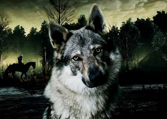 Wolf - Village