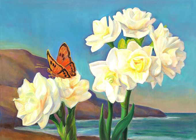 Narcissus Flowers