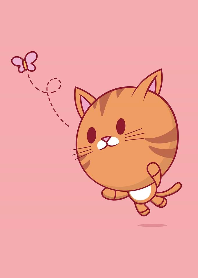 Cute Cat