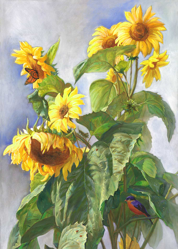 Sunflowers After The Rain