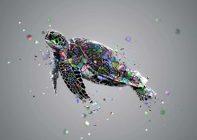 la mosaique de la tortue I