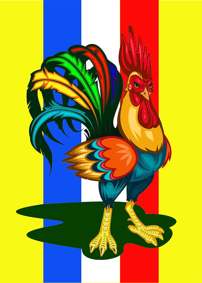 Rooster