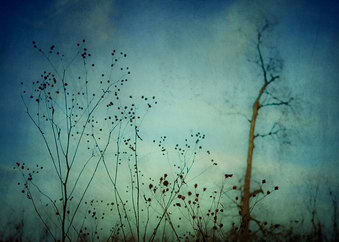 Evening
