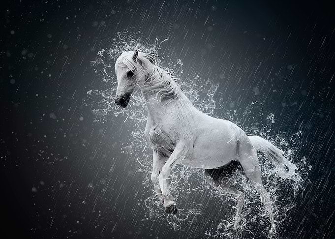 le galop humide