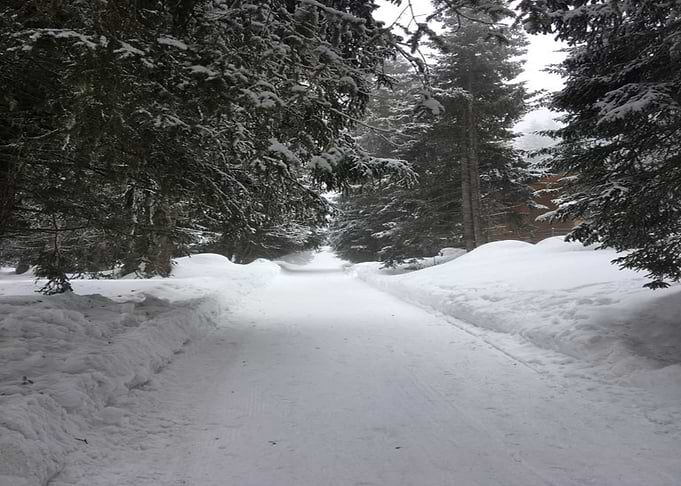 Snow Walk