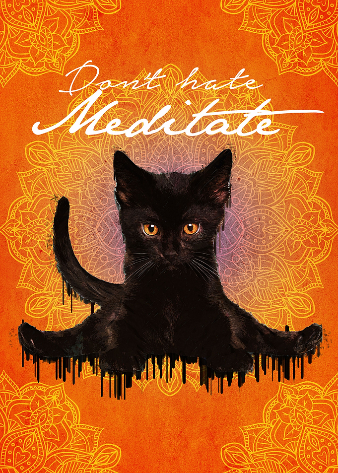 Black Cat Yoga