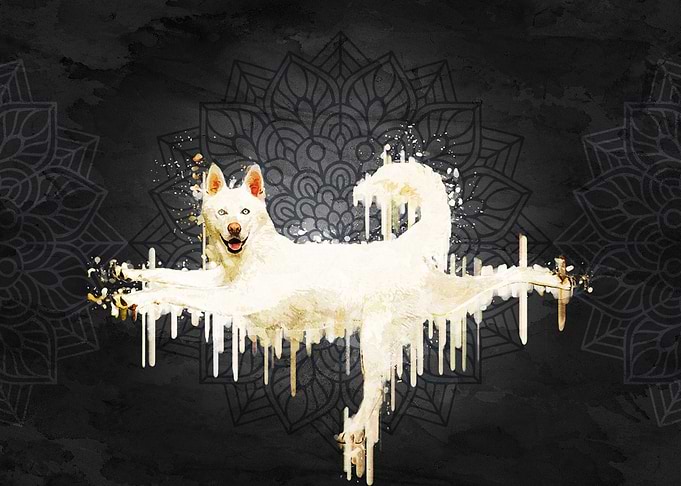 White Dog Yoga