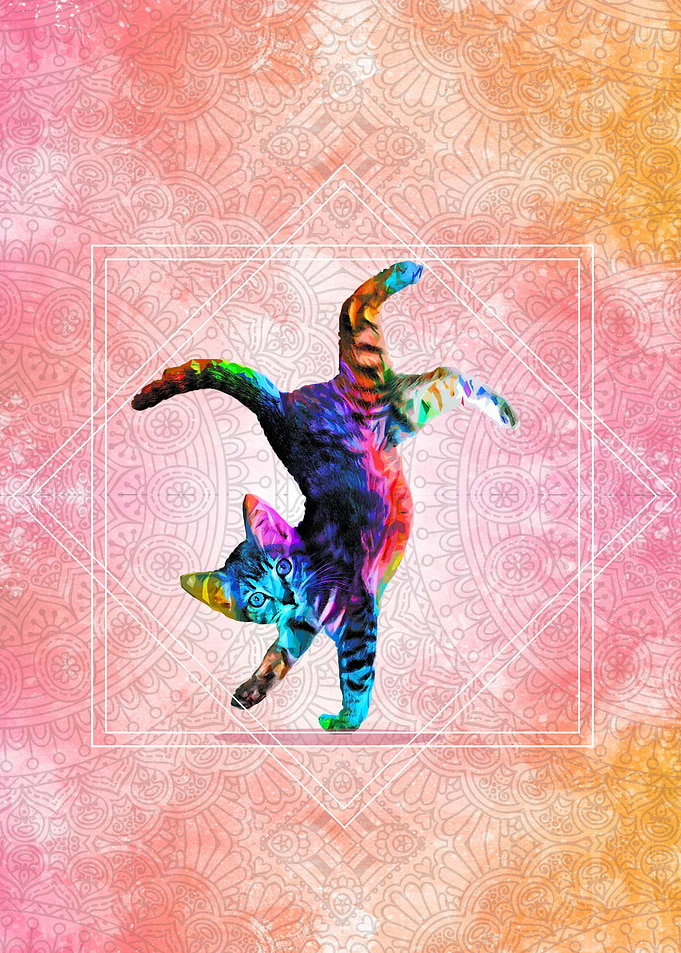 Cat Yoga