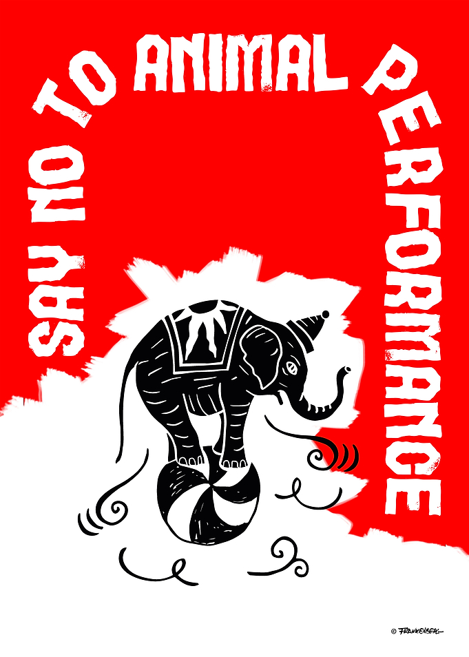 Say NO Elephant