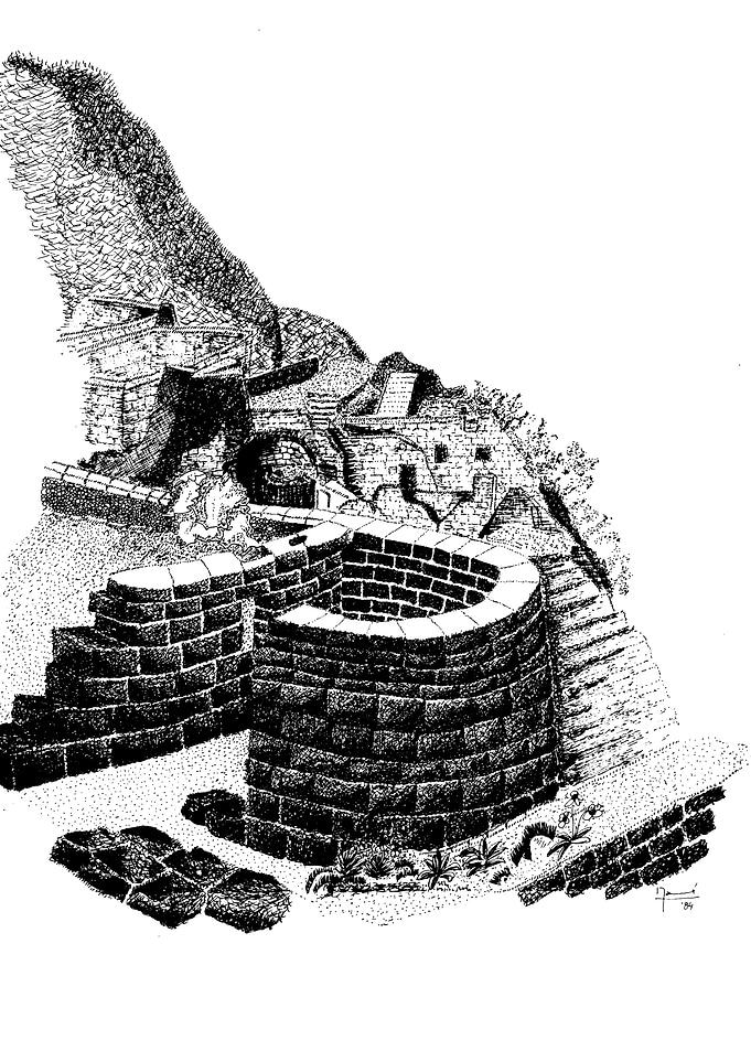 Machu Picchu II