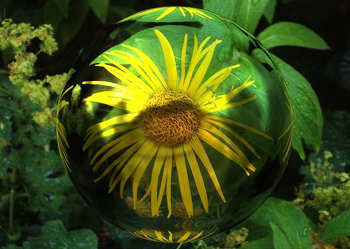 Yellow floral 3d