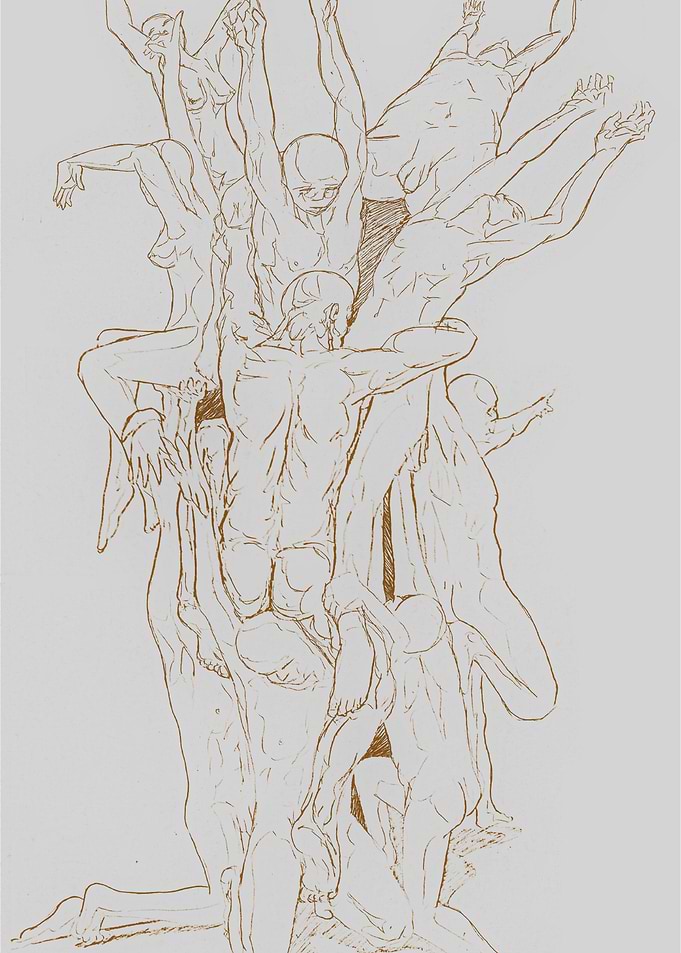 estudio de anatomia no5